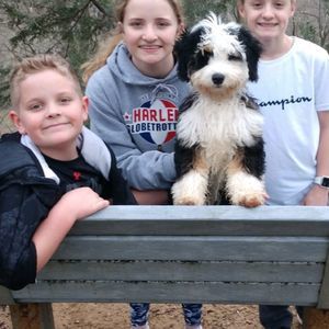 Meet your Posher, Jennifer